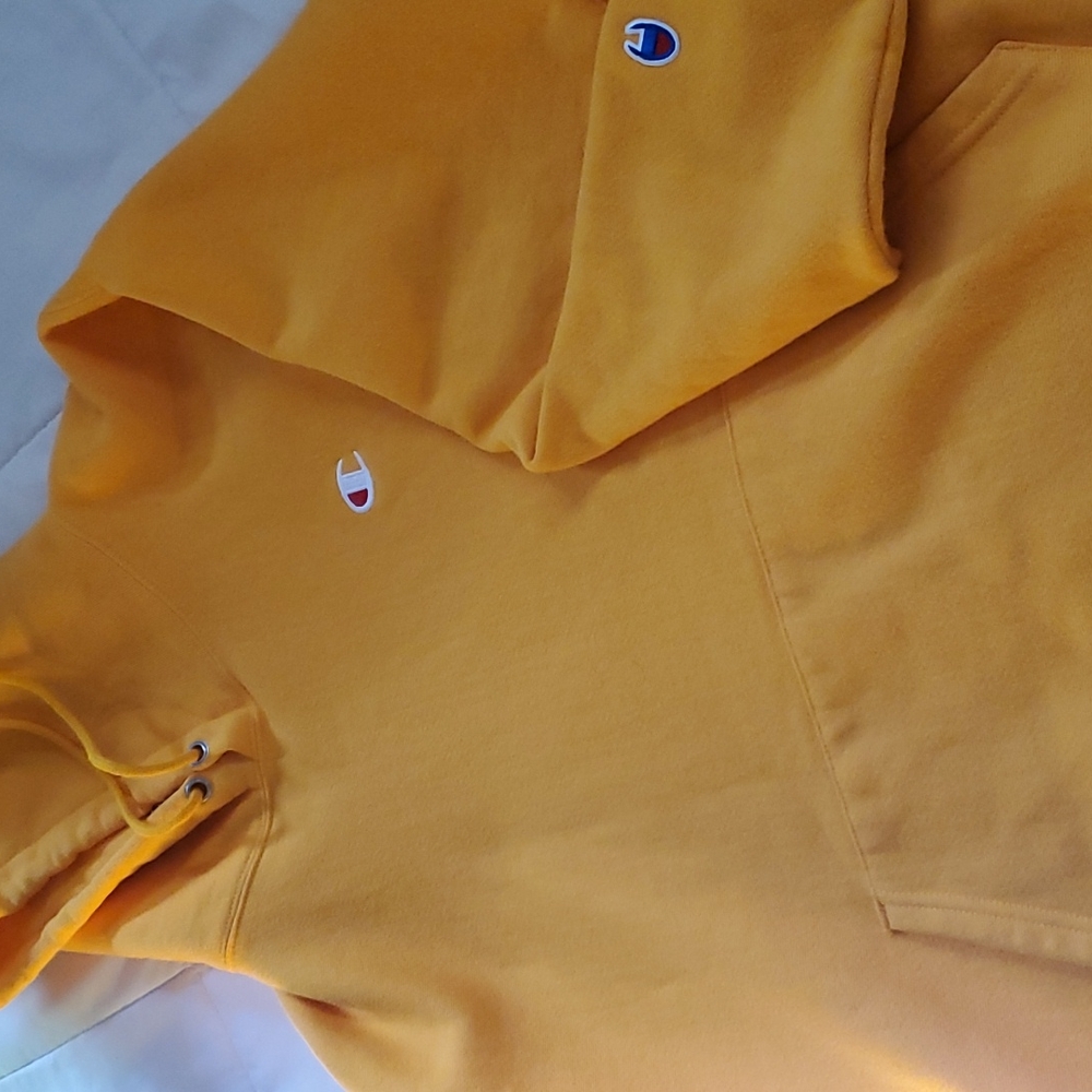 Mens Champion Hoodies